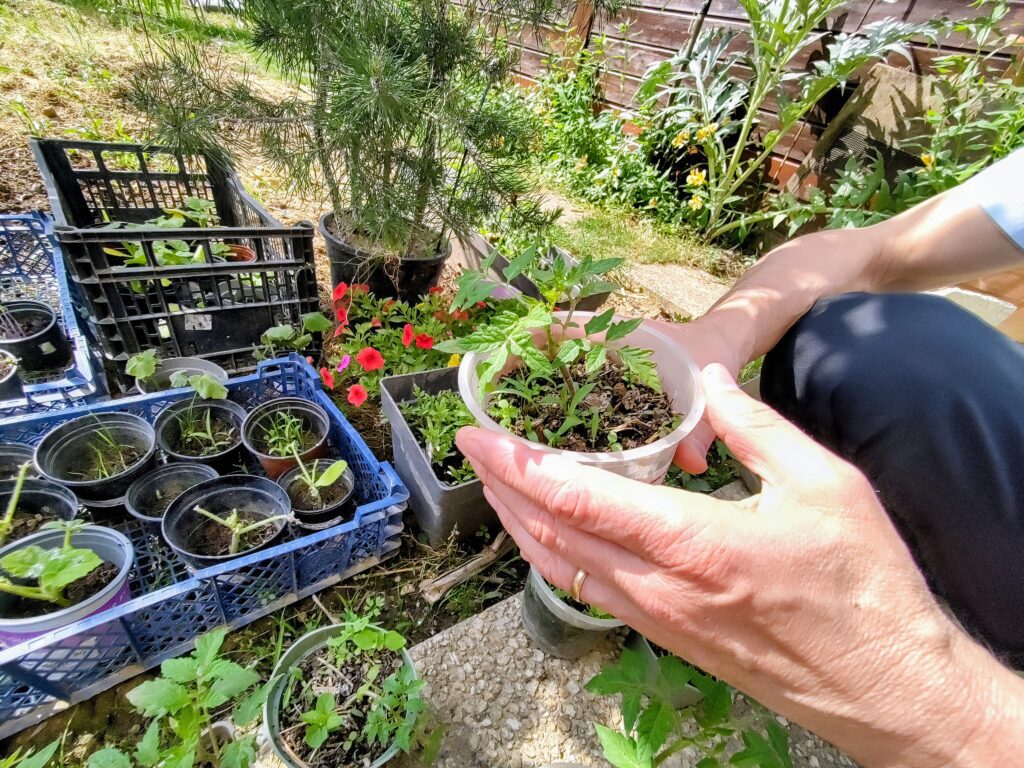 Le bonheur de jardiner : cultiver la terre, se reconnecter au vivant 3 PIC PLANT DOJO 2